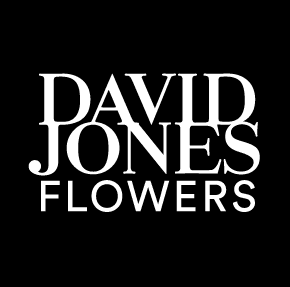 David Jones